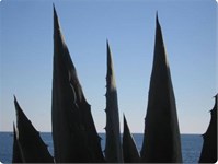 Insel Losinj Insel Losinj