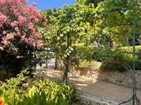 Insel Lošinj - app Malin Insel Lošinj - app Malin