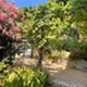 Insel Lošinj - app Malin