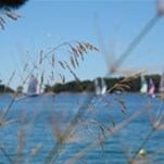 'No-wind-regatta'
Autor: Arja Tataj,
Mali Lošinj