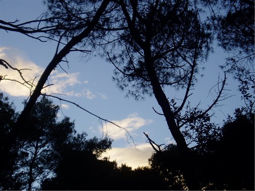 Insel Losinj