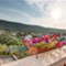 Insel Losinj Mariano
 - App - Mariano 2