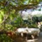 Insel Losinj  Renata
 - App - Vini