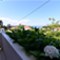 Insel Losinj - app Ani 3