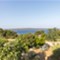 Insel Lošinj - Villa Amorosa Insel Lošinj - Villa Amorosa