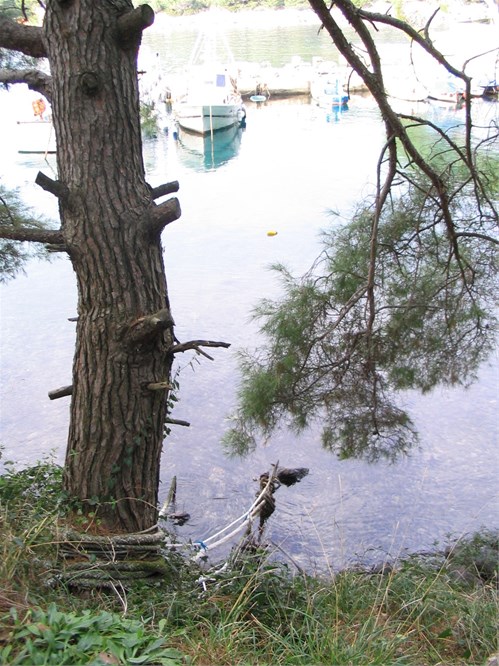 Veli Lošinj