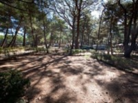 Camp Čikat  - Insel Lošinj