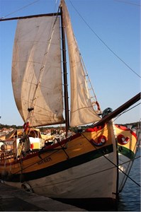 island Losinj island Losinj